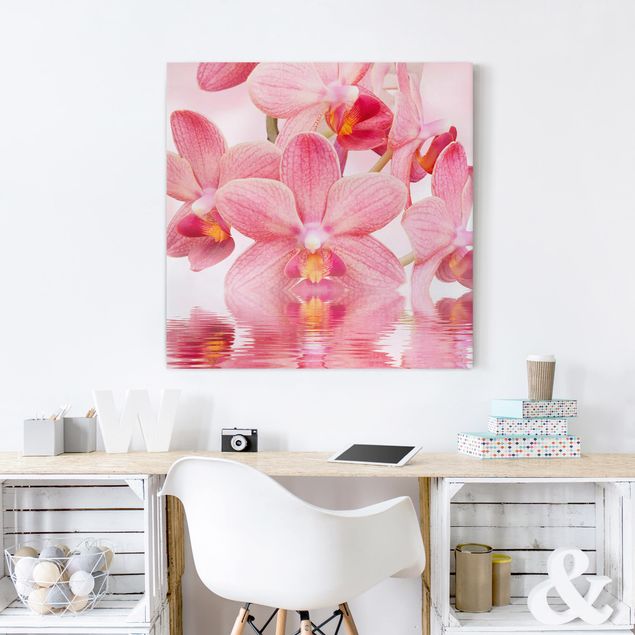 Billeder på lærred orkideer Light Pink Orchid On Water