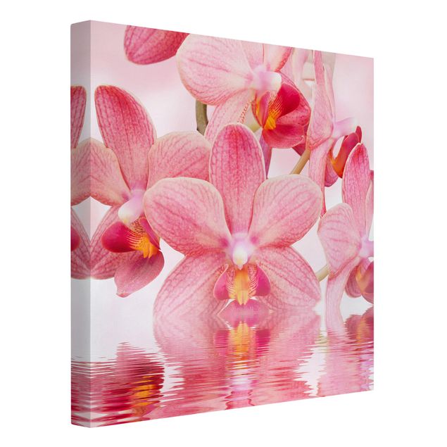 Billeder på lærred blomster Light Pink Orchid On Water
