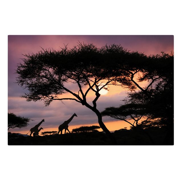 Billeder på lærred solnedgange African Safari
