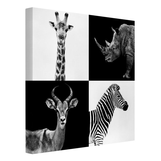 Billeder på lærred sort og hvid Safari Quartet