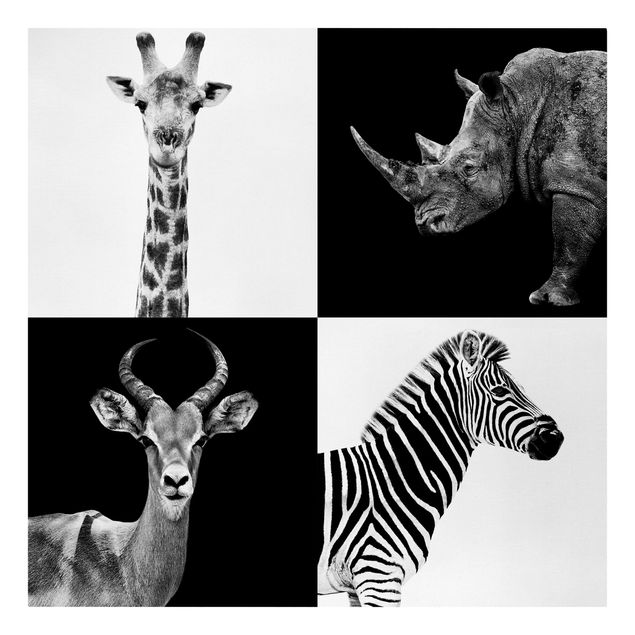 Billeder på lærred dyr Safari Quartet