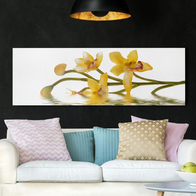 Billeder orkideer Saffron Orchid Waters