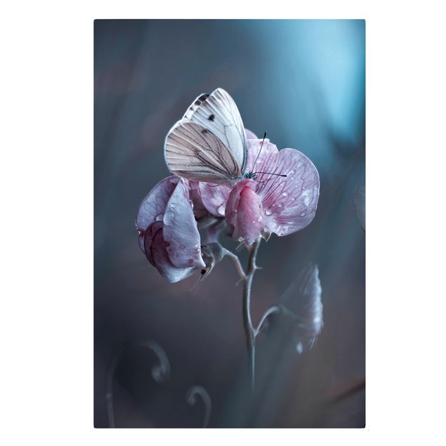 Billeder blomster Butterfly In The Rain