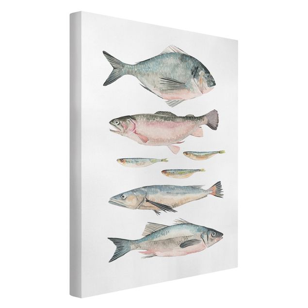 Billeder på lærred dyr Seven Fish In Watercolour II