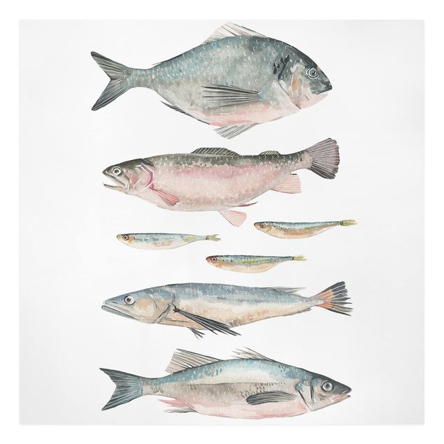 Billeder moderne Seven Fish In Watercolour II