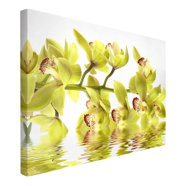 Billeder på lærred blomster Splendid Orchid Waters