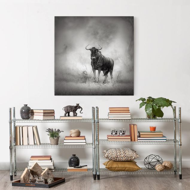 Billeder på lærred sort og hvid Staring Wildebeest