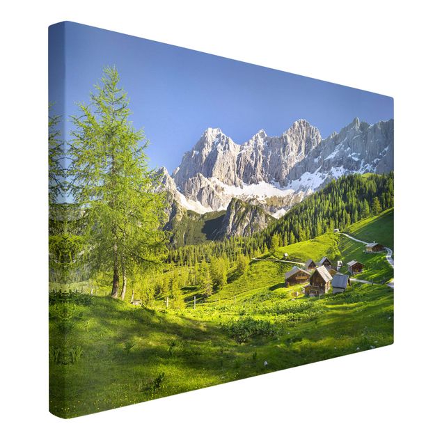 Billeder bjerge Styria Alpine Meadow