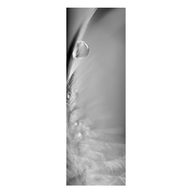 Billeder sort og hvid Story of a Waterdrop Black White