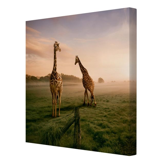 Billeder på lærred dyr Surreal Giraffes