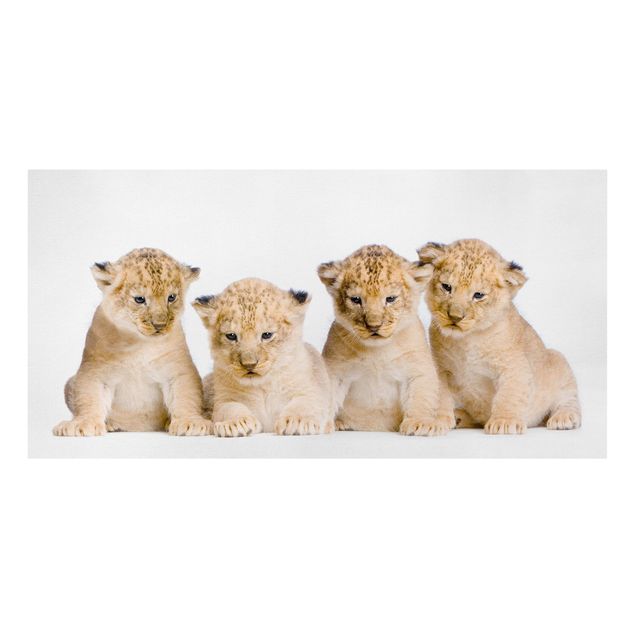 Billeder på lærred dyr Sweet Lion Babys