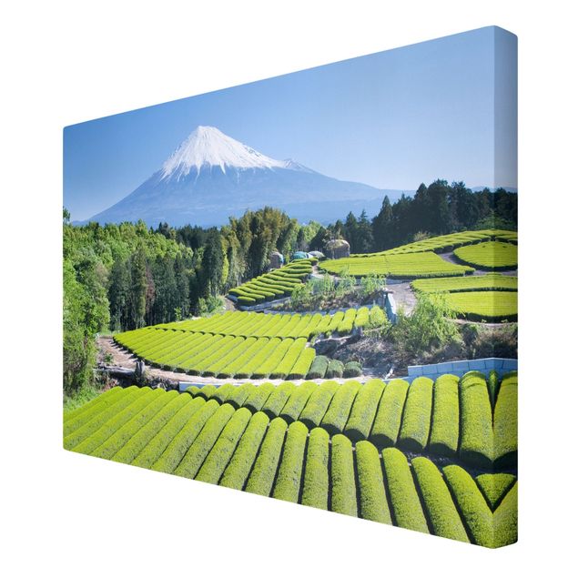 Billeder på lærred arkitektur og skyline Tea Fields In Front Of The Fuji