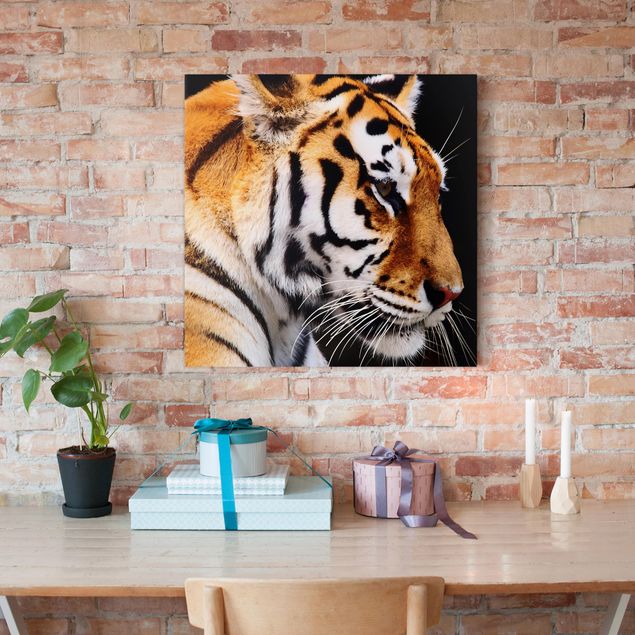 Billeder på lærred tiger Tiger Beauty