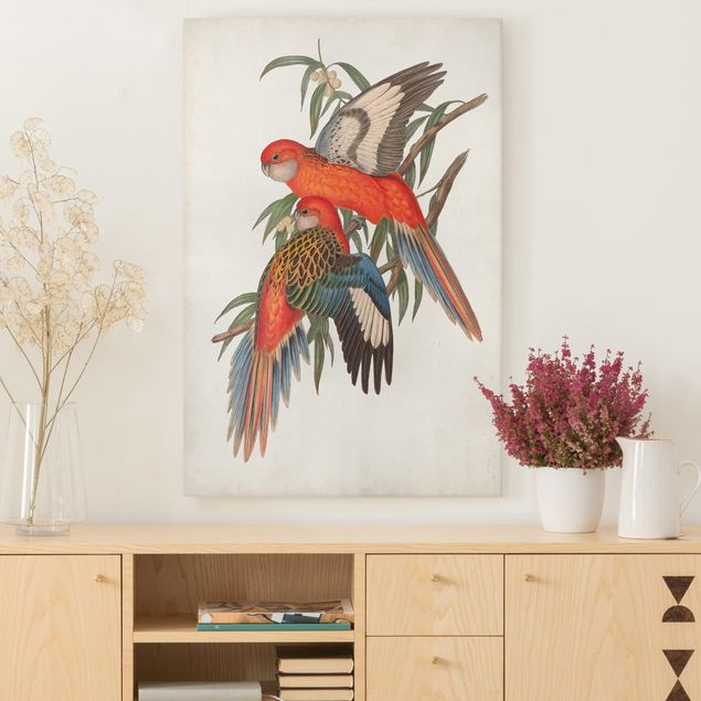 køkken dekorationer Tropical Parrot I