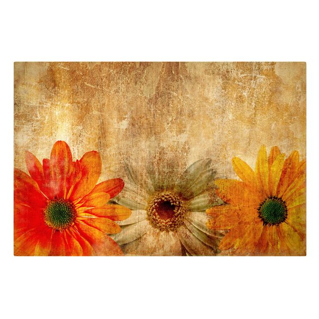 Billeder orange Vintage Flowermix