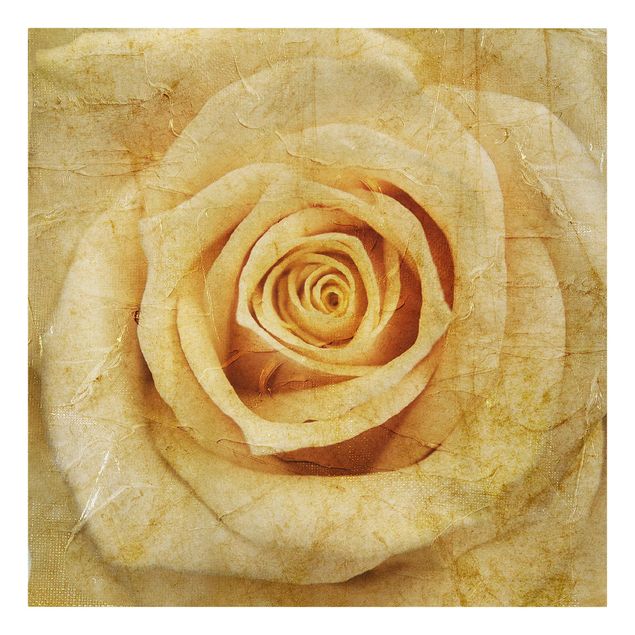 Billeder blomster Vintage Rose