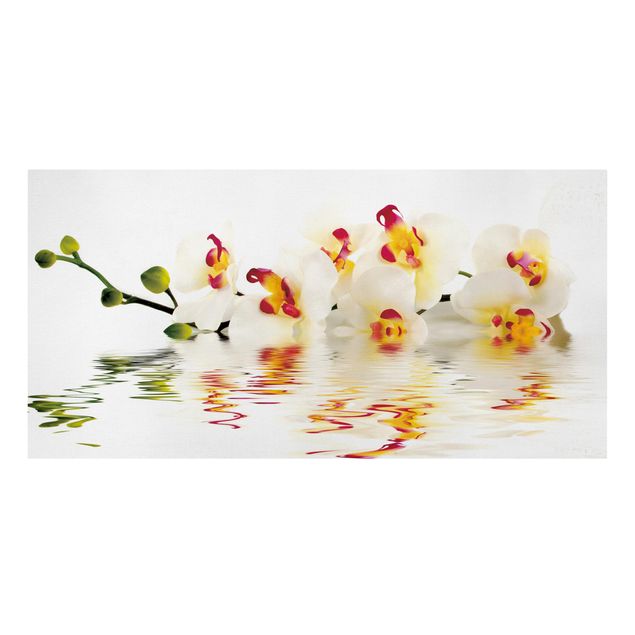 Billeder blomster Vivid Orchid Waters