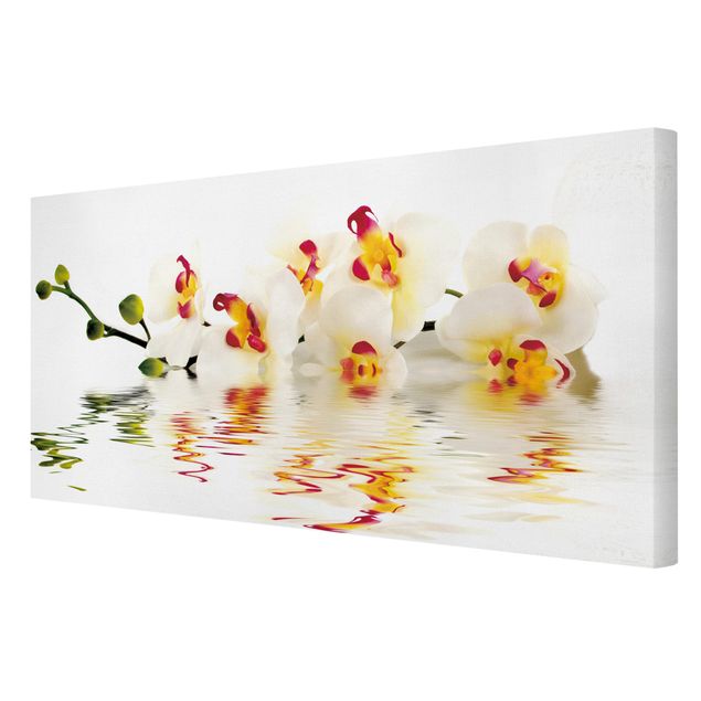 Billeder blomster Vivid Orchid Waters