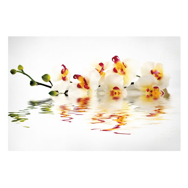 Billeder på lærred blomster Vivid Orchid Waters