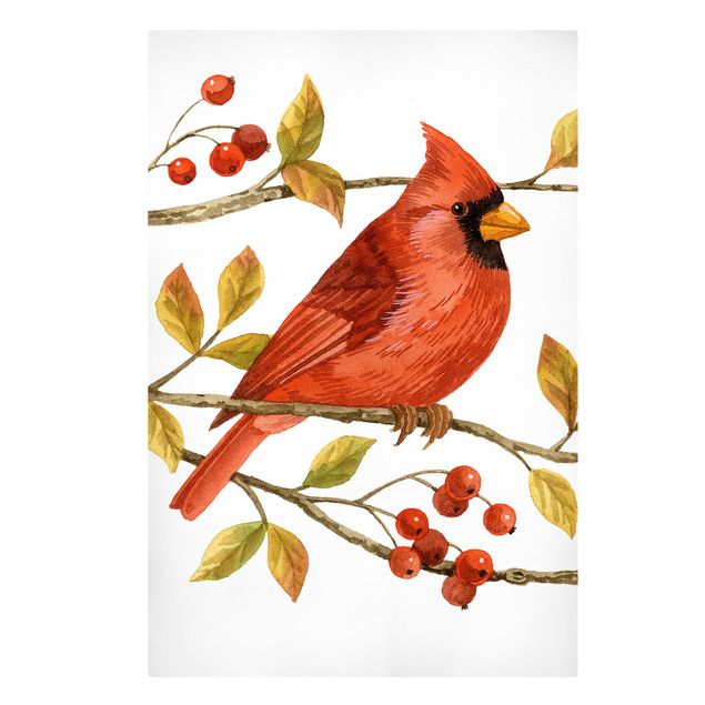 Billeder moderne Birds And Berries - Northern Cardinal