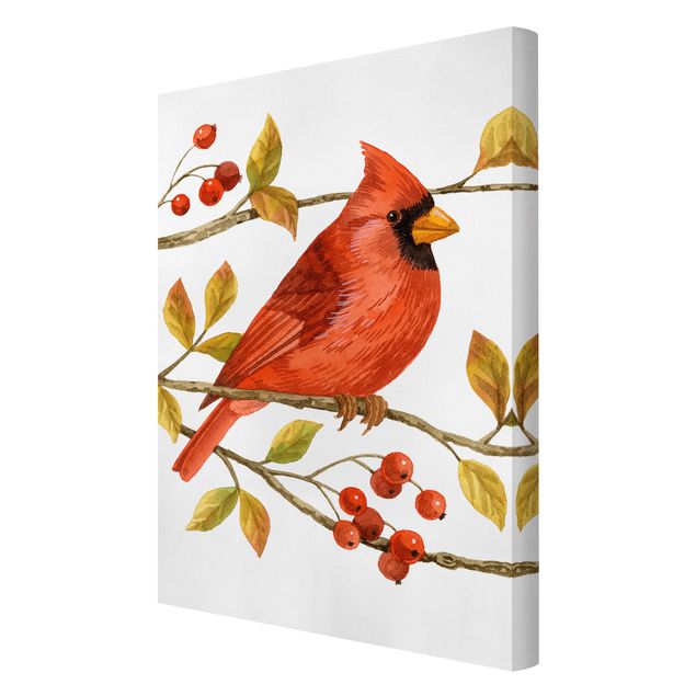Billeder Birds And Berries - Northern Cardinal
