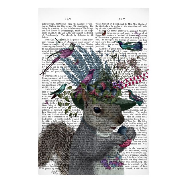 Billeder ordsprog Fowler - Squirrel With Acorns