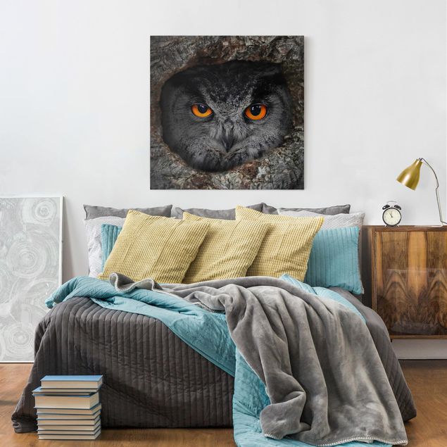 Billeder på lærred dyr Watching Owl