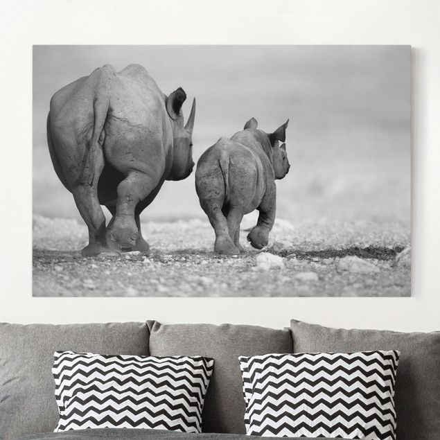 køkken dekorationer Wandering Rhinos II