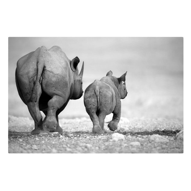 Billeder Wandering Rhinos II