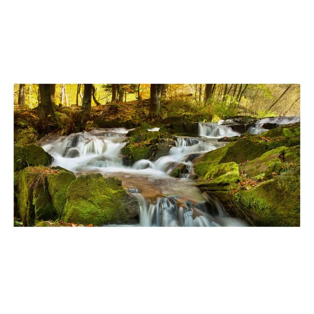 Billeder på lærred landskaber Waterfall Autumnal Forest