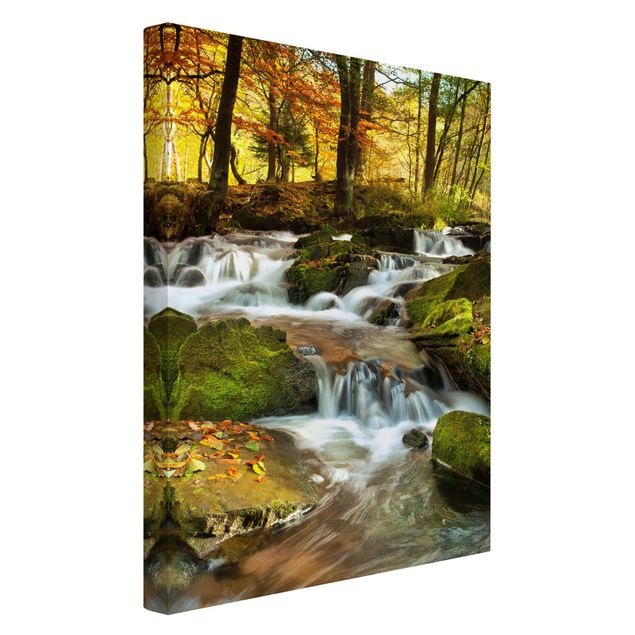Billeder landskaber Waterfall Autumnal Forest