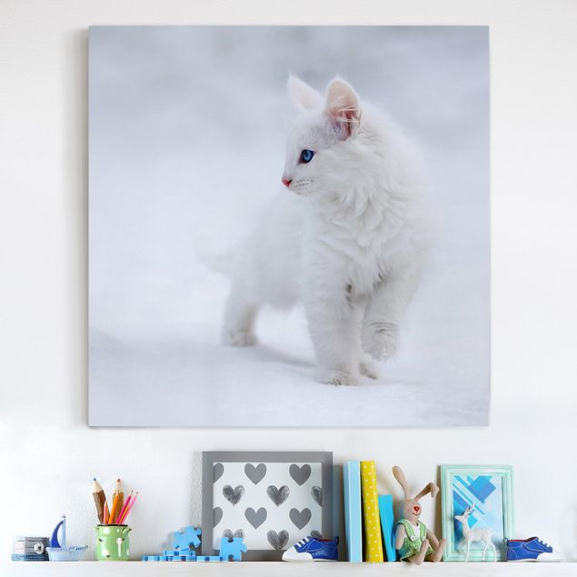 Billeder på lærred katte White as Snow