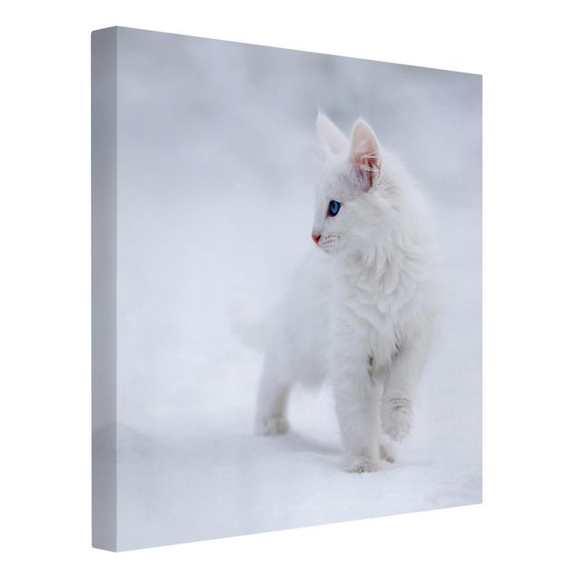 Billeder på lærred dyr White as Snow