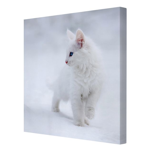Billeder dyr White as Snow