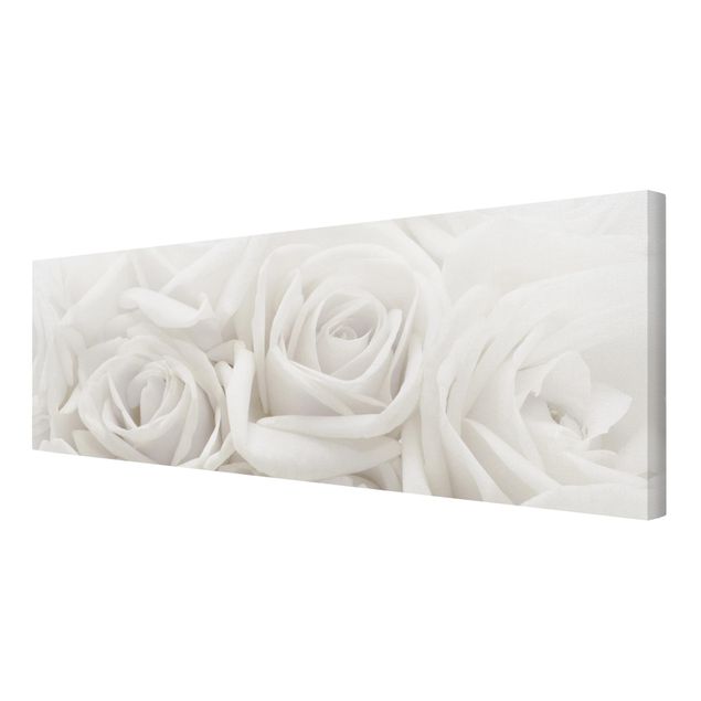 Billeder White Roses