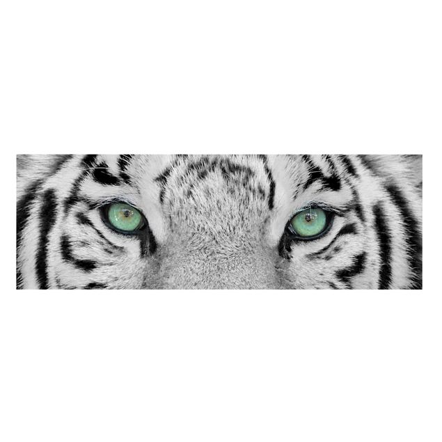 Billeder på lærred sort og hvid White Tiger