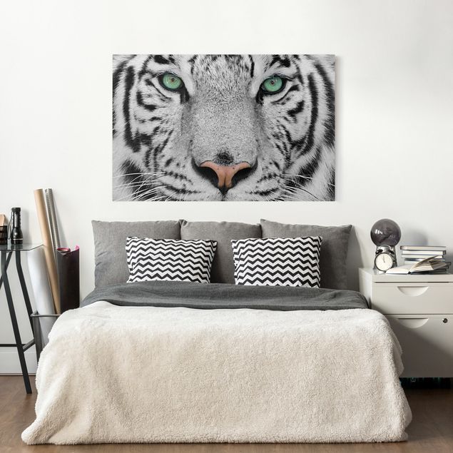 Billeder på lærred tiger White Tiger