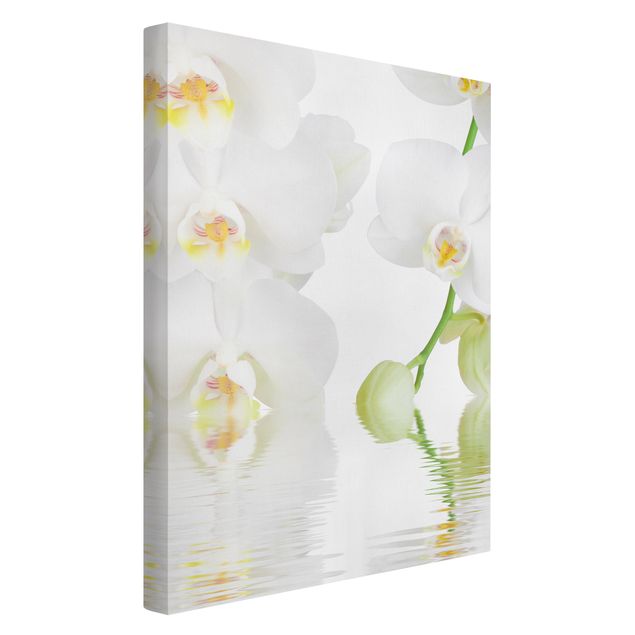 Billeder på lærred blomster Spa Orchid - White Orchid