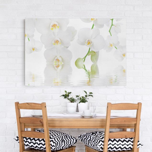 køkken dekorationer Spa Orchid - White Orchid