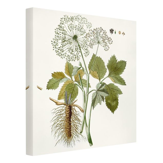 Billeder blomster Wild Herbs Board IV
