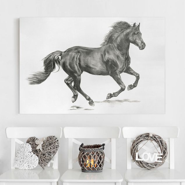 køkken dekorationer Wild Horse Trial - Stallion