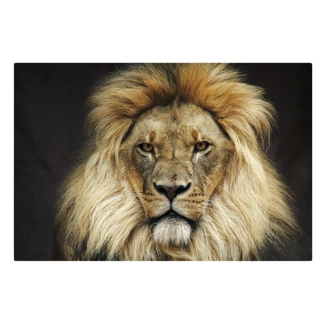 Billeder på lærred dyr Wisdom Of Lion