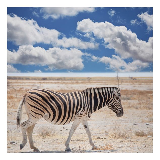 Billeder på lærred landskaber Zebra In The Savannah