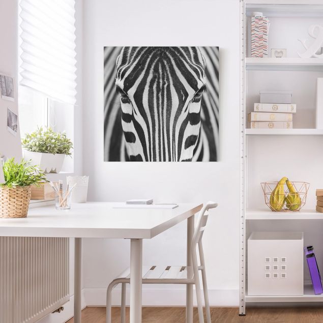 Billeder på lærred zebraer Zebra Look