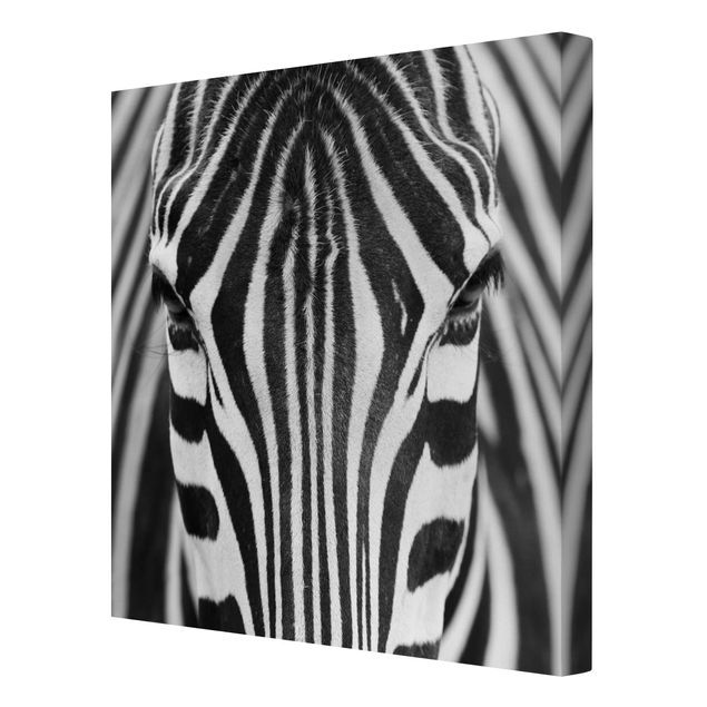 Billeder på lærred dyr Zebra Look
