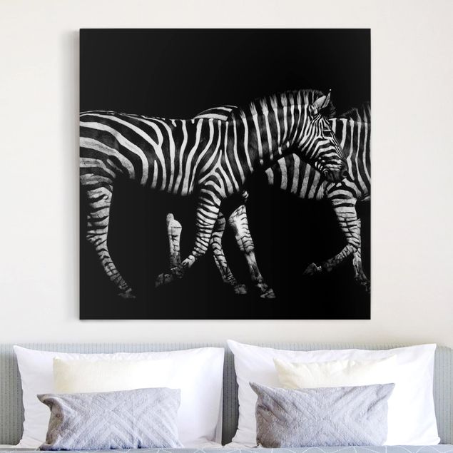 Billeder på lærred zebraer Zebra In The Dark