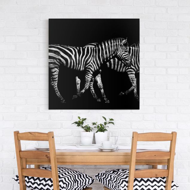 Billeder zebraer Zebra In The Dark