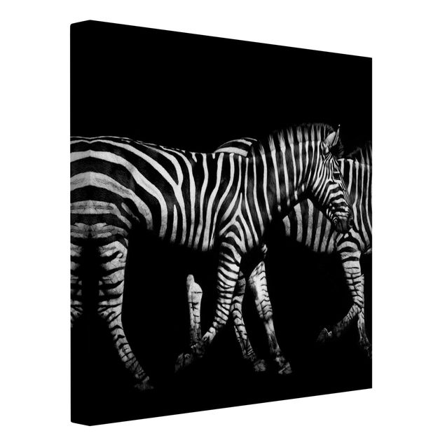 Billeder på lærred sort og hvid Zebra In The Dark