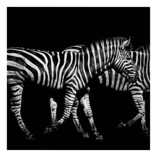Billeder på lærred dyr Zebra In The Dark