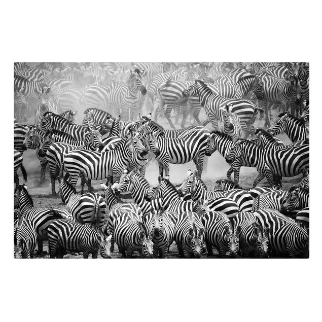 Billeder på lærred dyr Zebra herd II